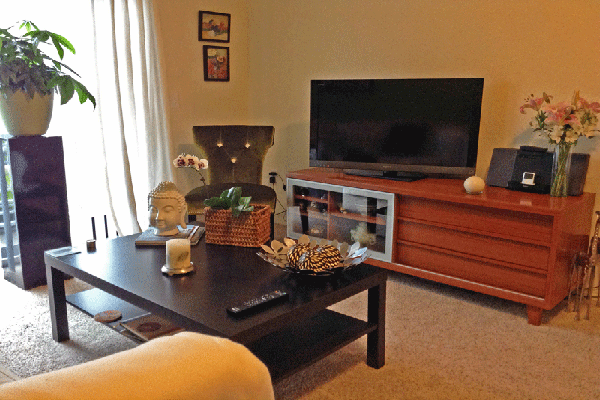 Town Park Crossing Spacious Living Room